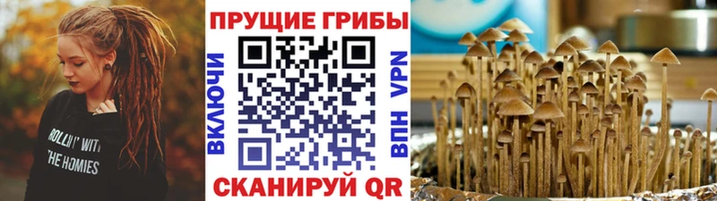 Галлюциногенные грибы прущие грибы Реутов