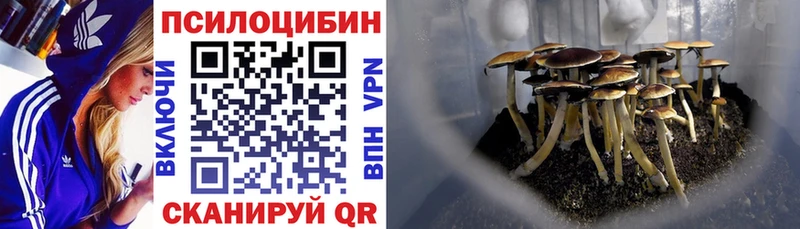 Псилоцибиновые грибы прущие грибы  Реутов 