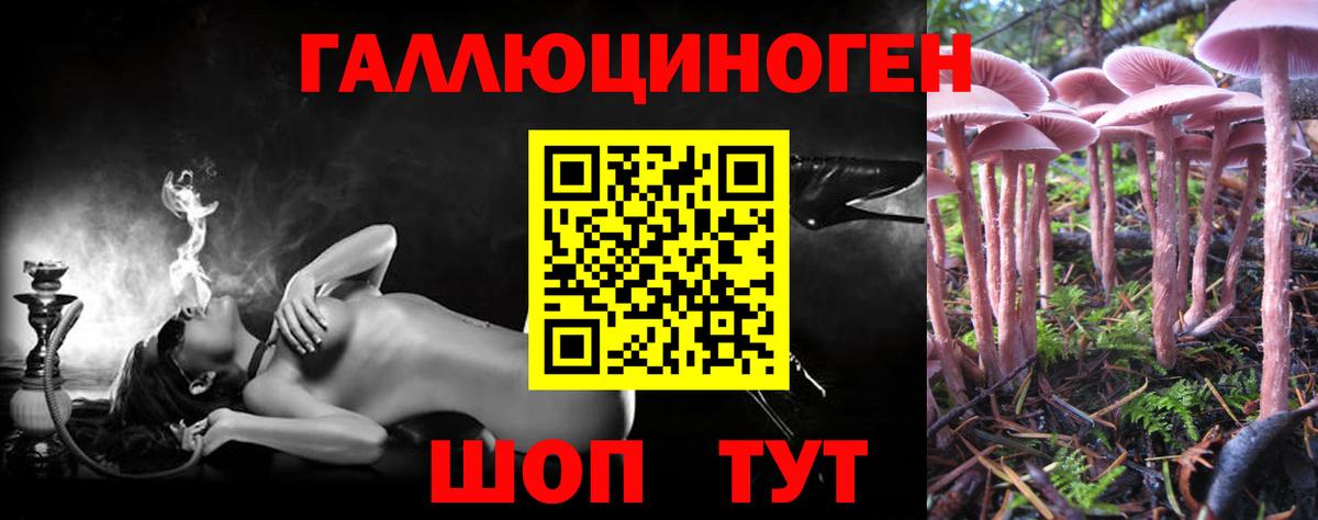 Галлюциногенные грибы Psilocybe Реутов